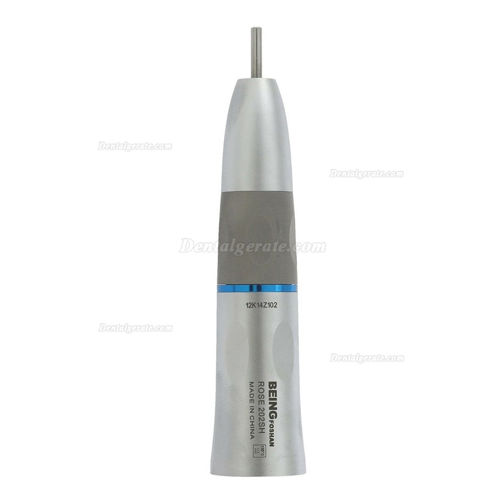BEING Rose 202SH Dental Gerade Handst&uuml;ck Inneres Wasser Kavo NSK W&H Kompatibel